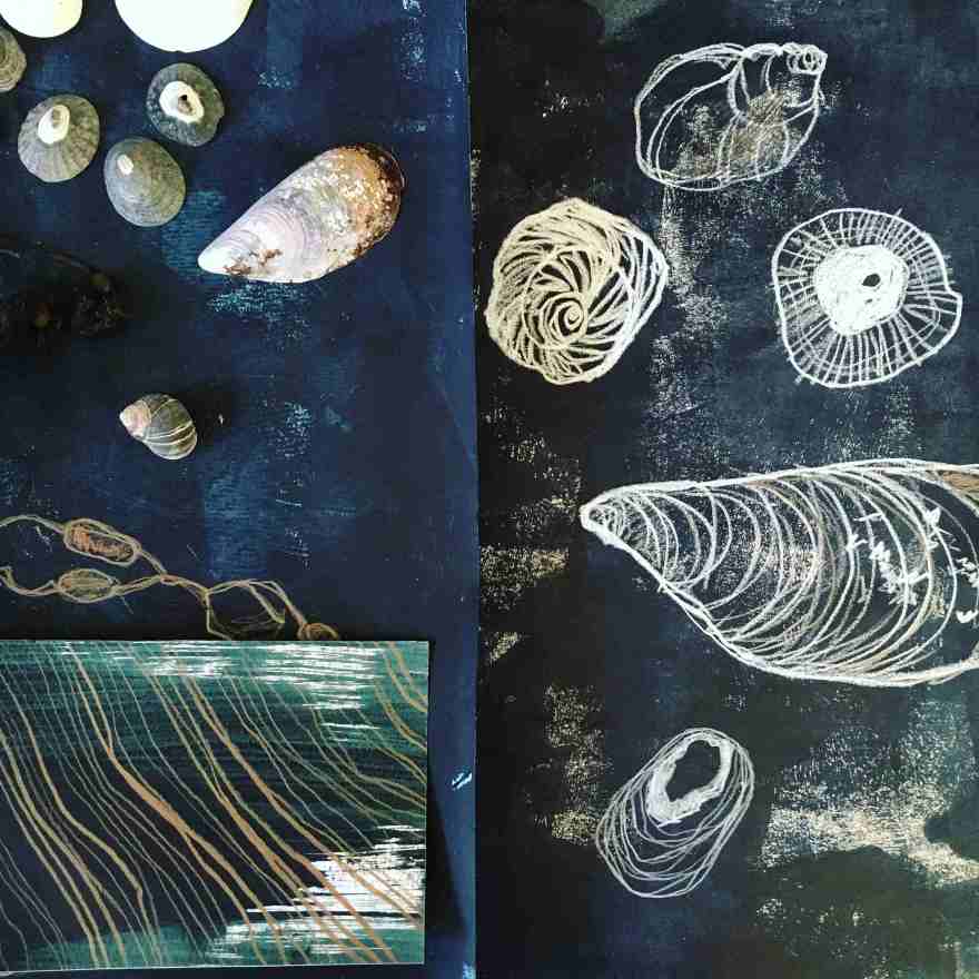 Beachcombing pencil on paper