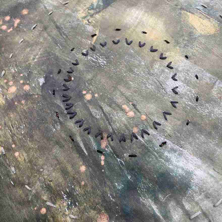 Detail of embroidery on paper